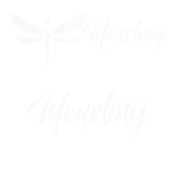 Logo design 14